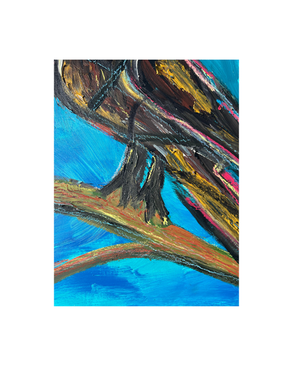 Oiseaux