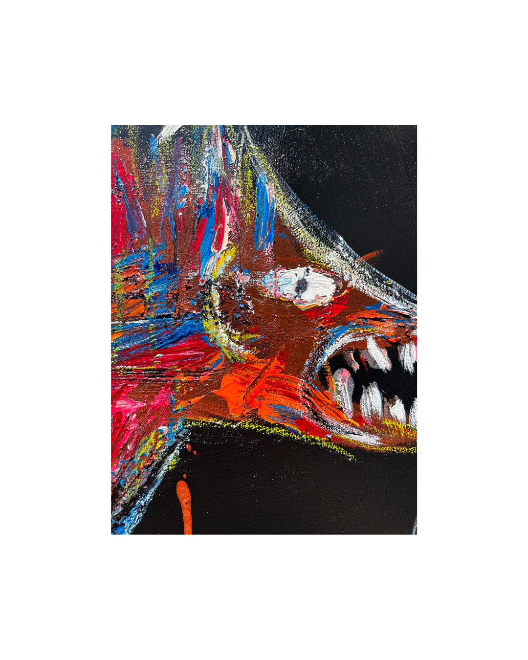 Requin nain